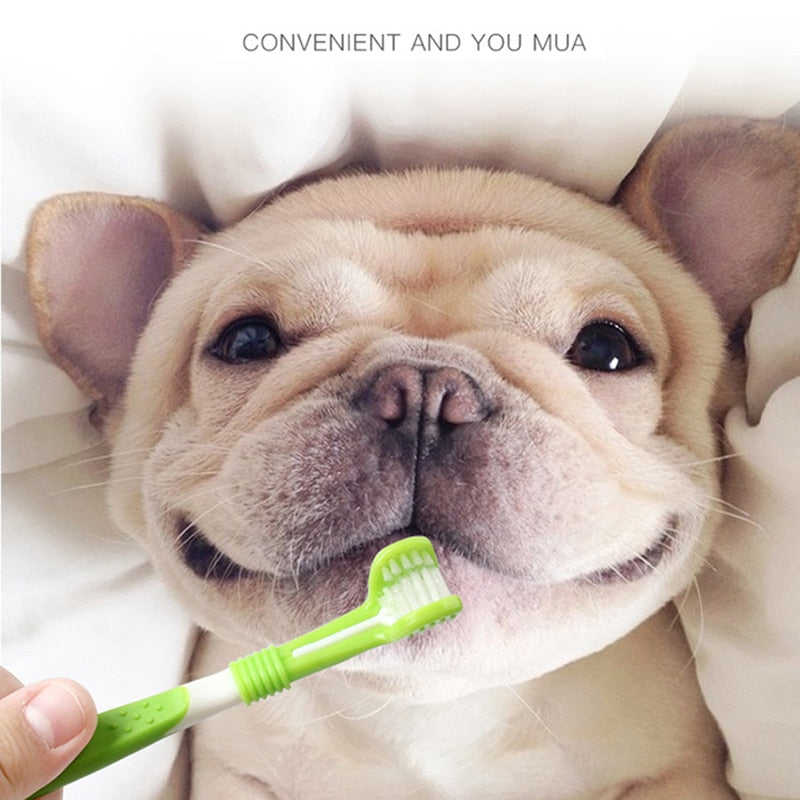 Pet Toothbrush Kit With Soft Dog Finger Toothbrush Pet Multi-angle Cleaning Tooth Dog Cat Dental Care ToothBrushes Set for Pets