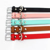 5 Colors PU Small Dogs Collars XS-M Adjustable Zinc Alloy Solid Color Puppy Collar Comfortable Durable Pets Supplies Accessories