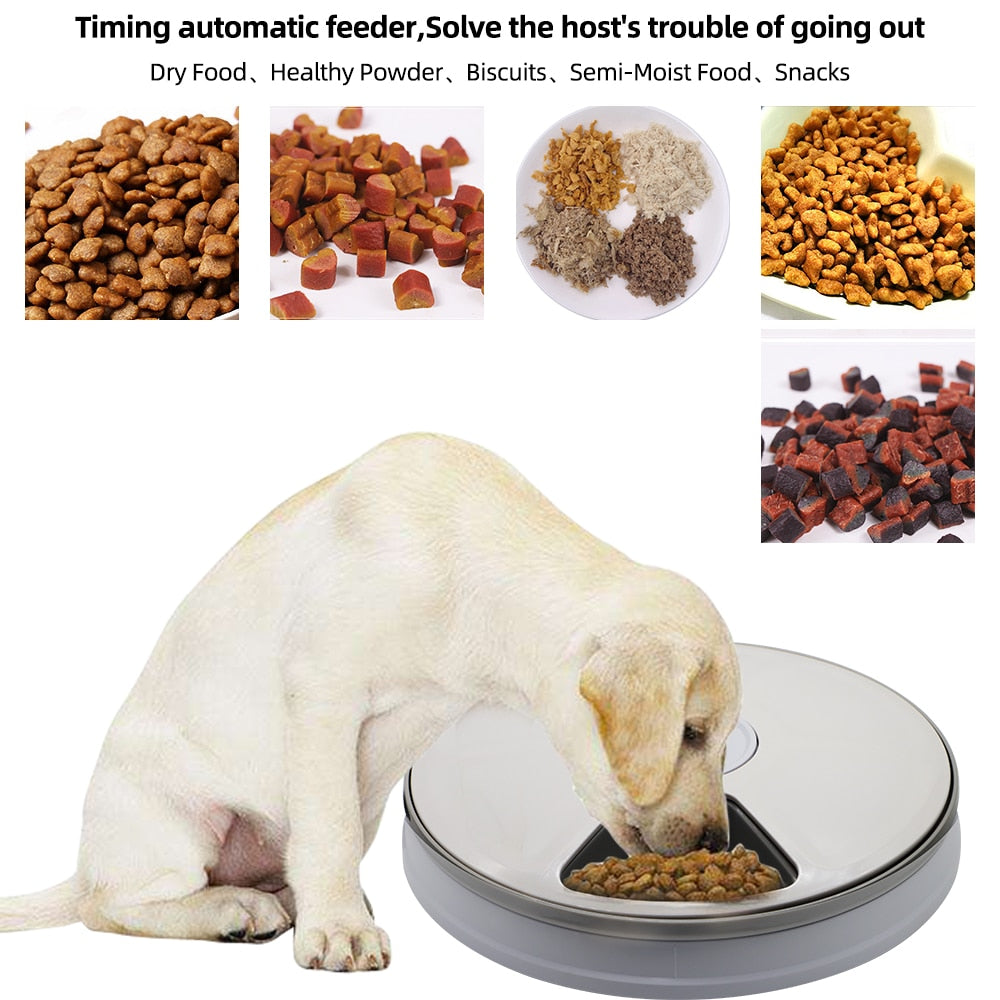 Automatic Pets Feeder Smart Food Dispenser For Cats Dogs With Voice Remind Pet Feed Tool Timer Bowl Pet Feeding Dog Accessories